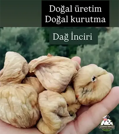 Aydın Dağ İnciri Orta Boy (1000gr)
