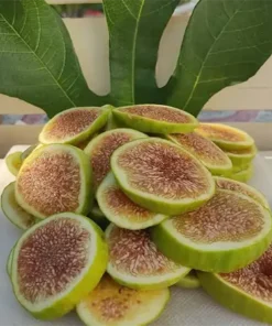 Cips İncir (1000 gr)