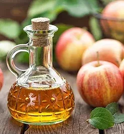 Fermente Gıdalar / Sirke