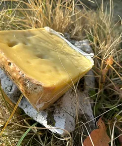 Alternative view of 18 Aylık Eski Kaşar