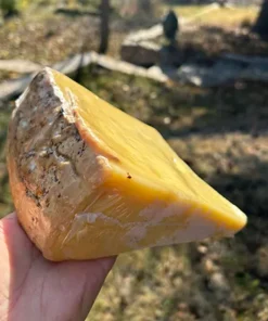 18 Aylık Eski Kaşar